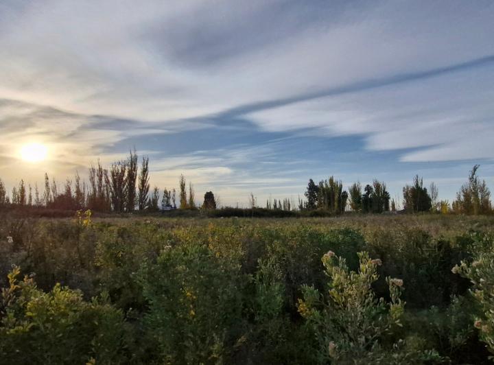 Terreno · 10000m²