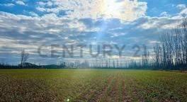 Campo · 1700000000m²