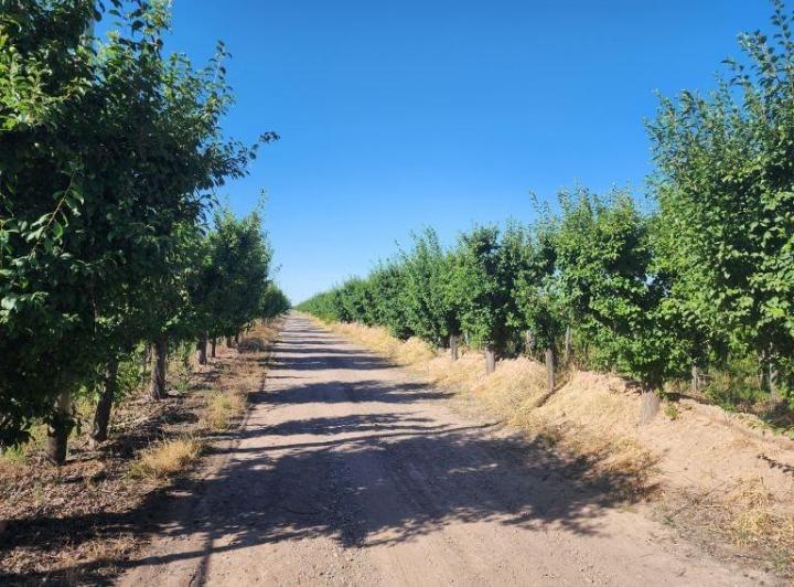 Campo · 350m²