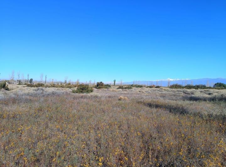 Terreno · 75000m²