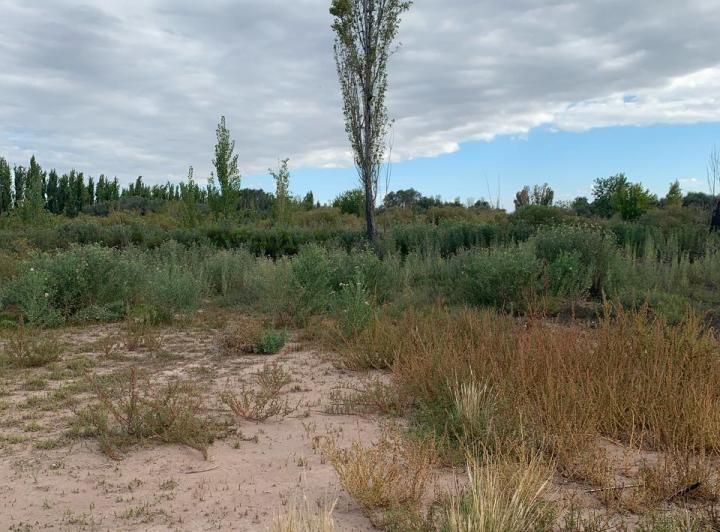 Terreno · 247m²