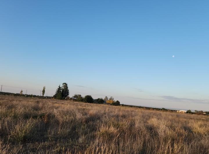 Campo · 4ha