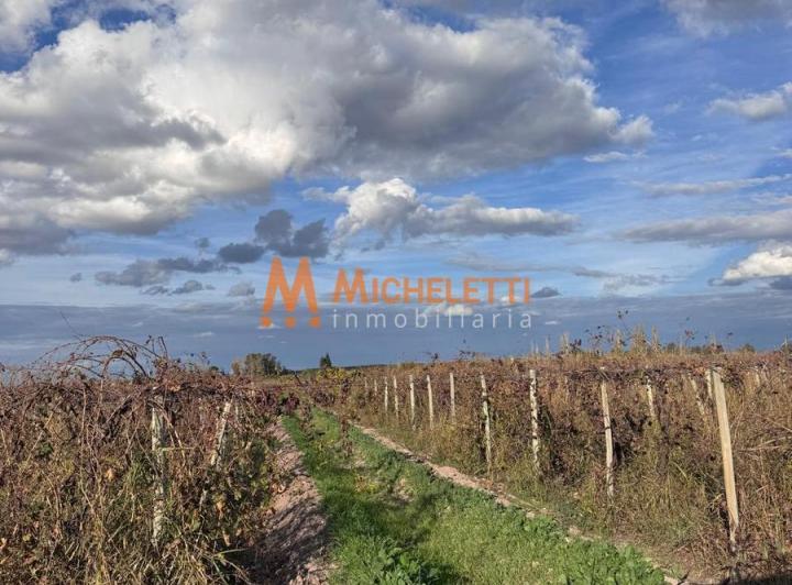 Campo · 27ha