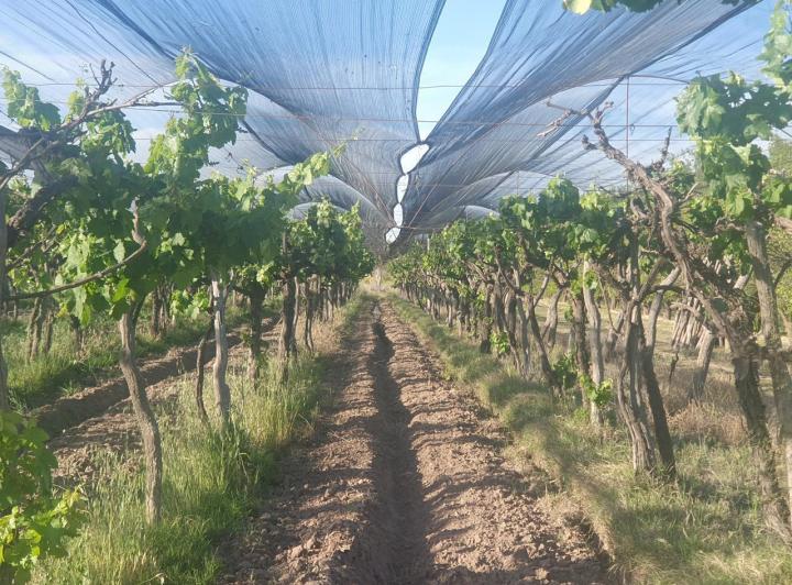 Campo · 135000m² · 2 Dormitorios