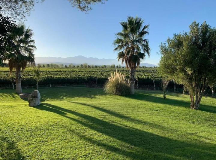 Campo · 350m² · 6 Ambientes · 1 Cochera