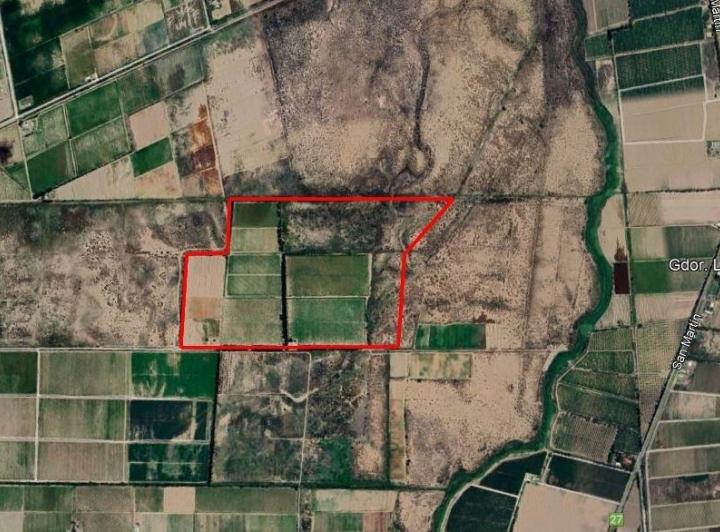 Campo · 1m²