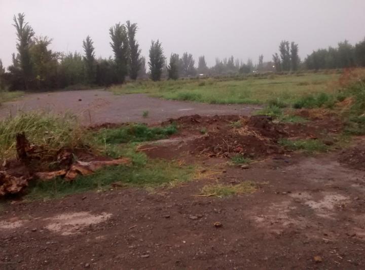 Campo · 7ha