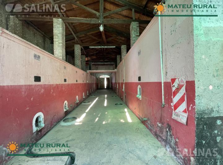 Campo · 10000m²