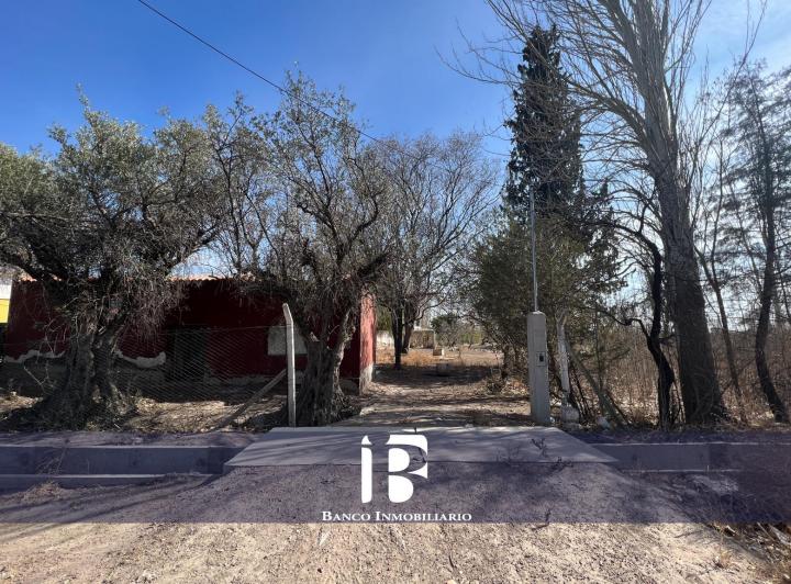 Campo · 14879m²