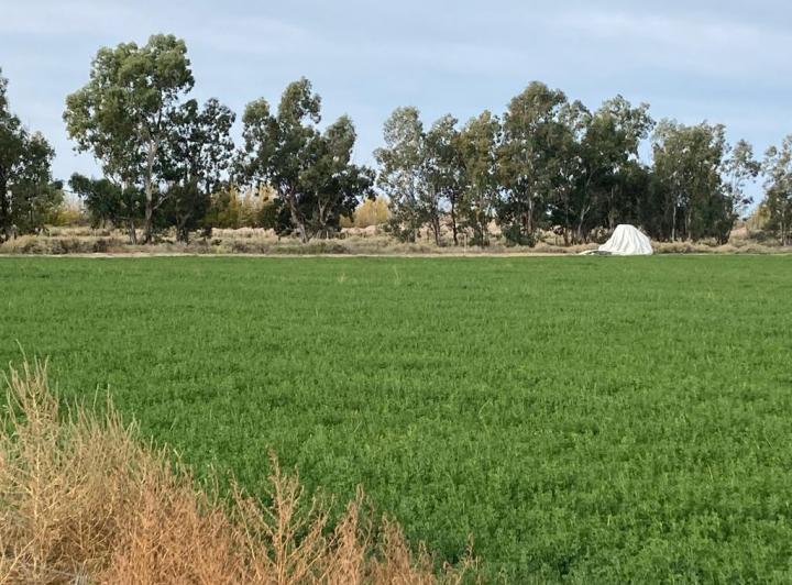 Campo · 500000m²