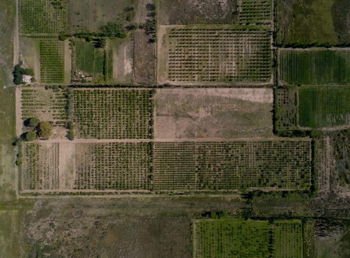 Campo · 10000m²