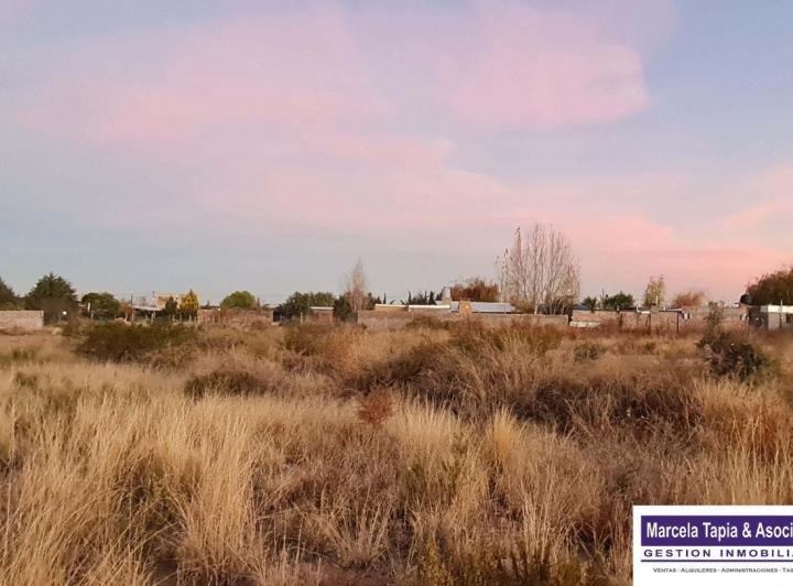Terreno · 1000m²