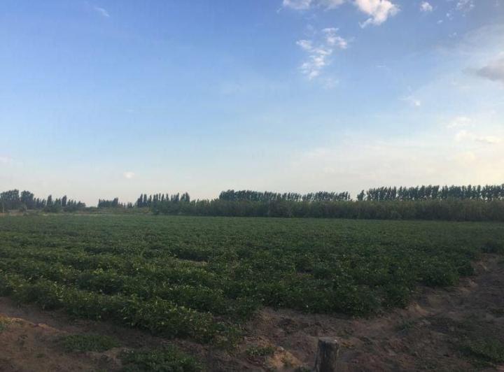 Quinta vacacional · 100000ha