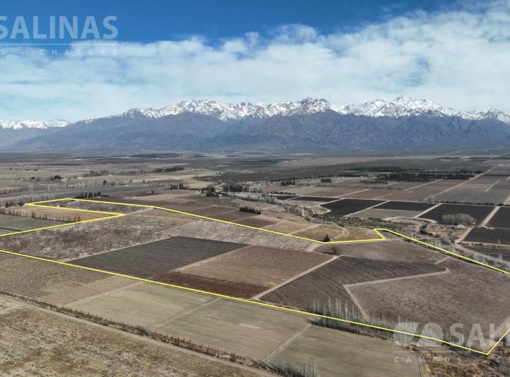 Campo · 390000m²