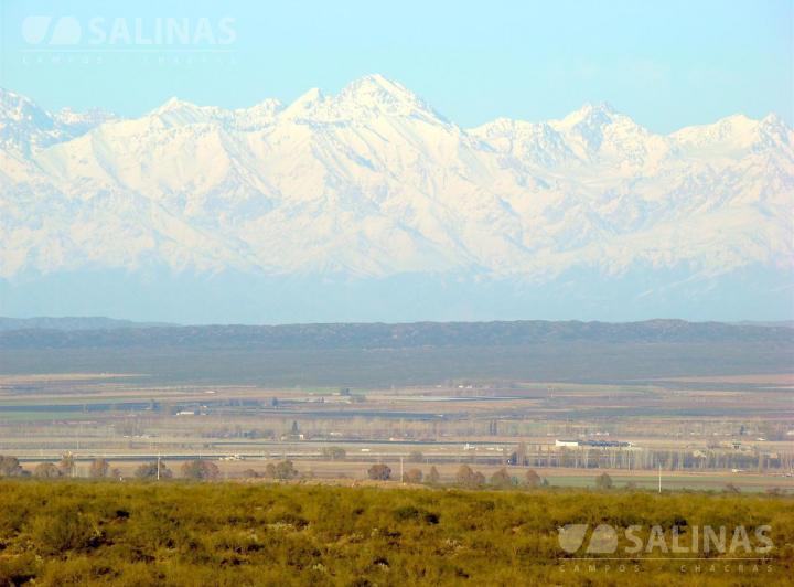 Campo · 1500000m²