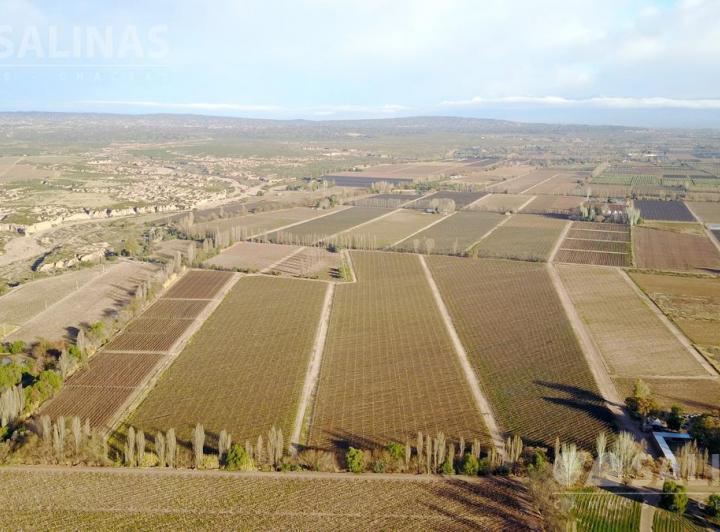 Campo · 840000m²