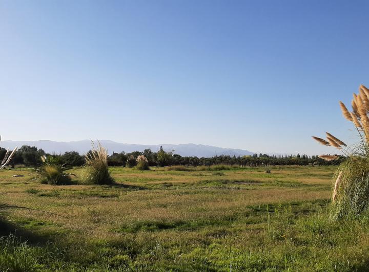 Terreno · 500m²