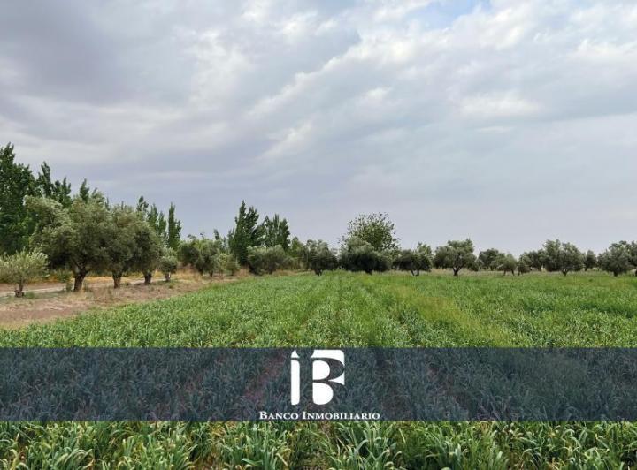 Campo · 500000m²