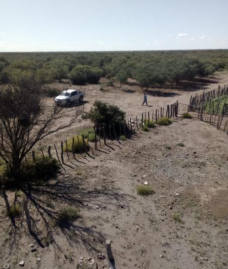 Campo · 3921m²