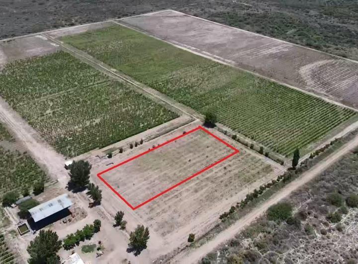 Campo · 100m²