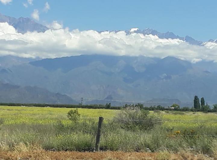 Campo · 10ha