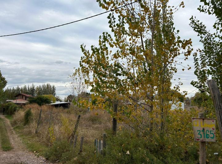 Terreno · 1000m²