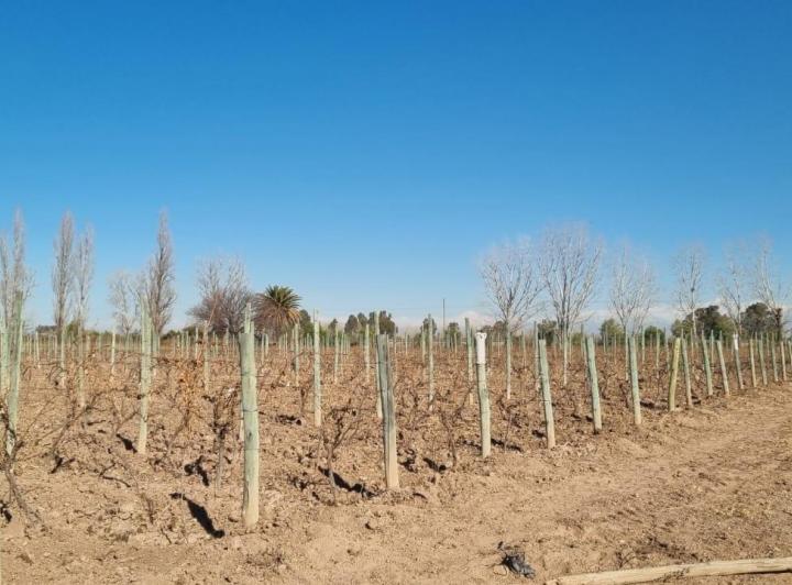 Campo · 120000m² · 1 Dormitorio · 1 Cochera