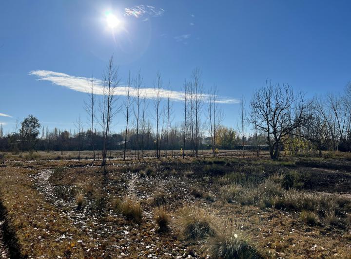 Terreno · 7394m²