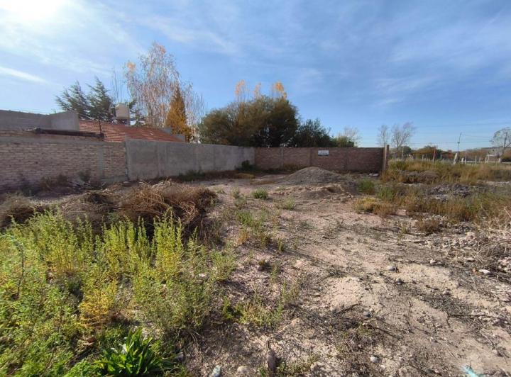 Terreno · 316m²
