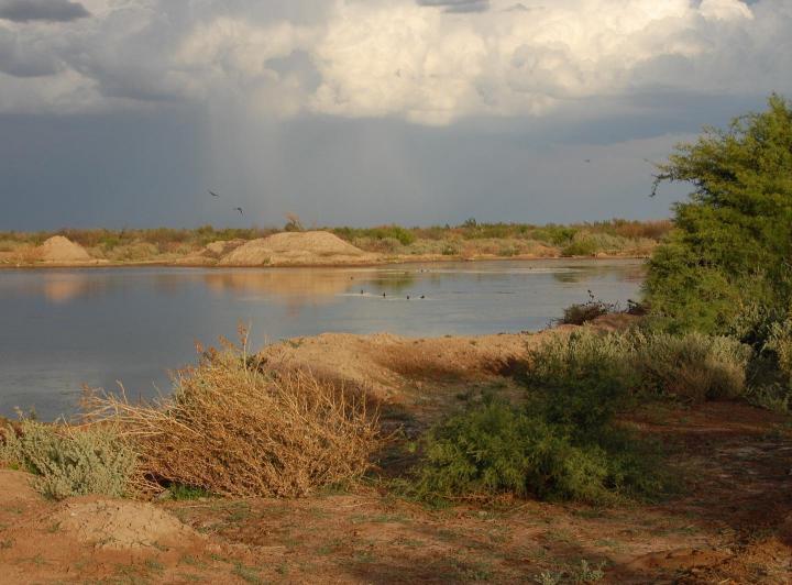 Campo · 34210000ha