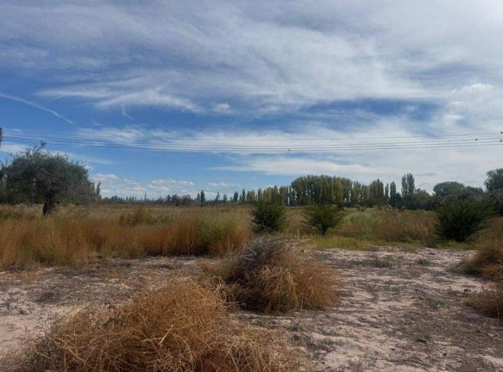 Terreno · 82200m²