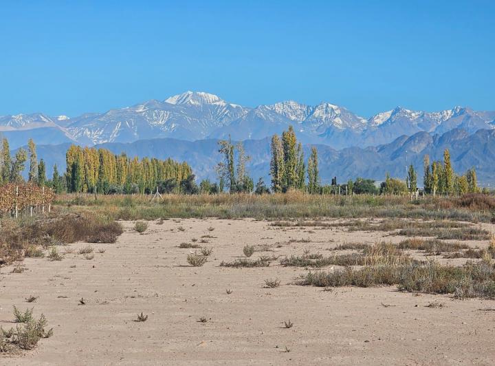 Campo · 60000ha