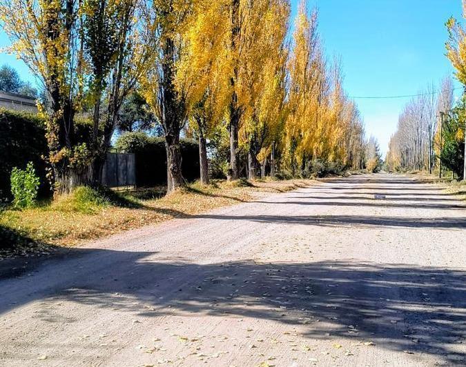 Terreno · 2000m²