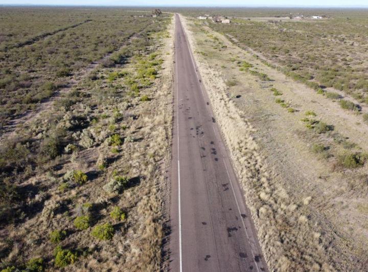 Campo · 36000ha