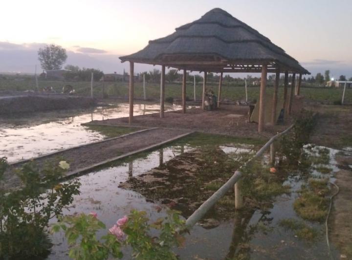 Terreno · 3600m²