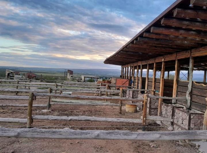 Terreno · 2164m²