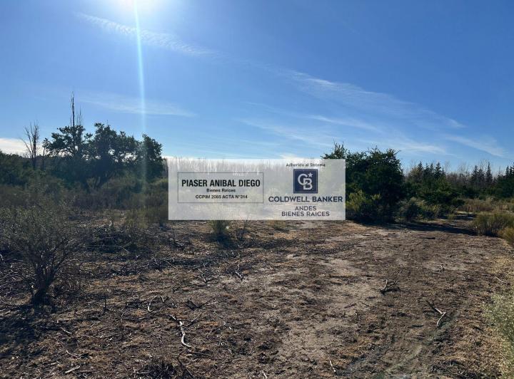 Terreno · 15295m²