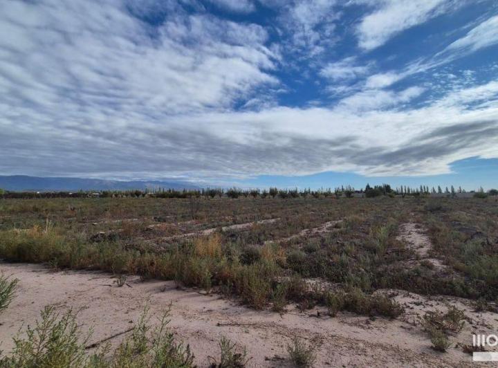 Campo · 10000m²