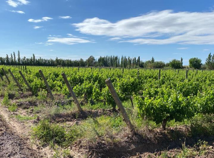 Terreno · 12ha · 4 Ambientes · 1 Cochera