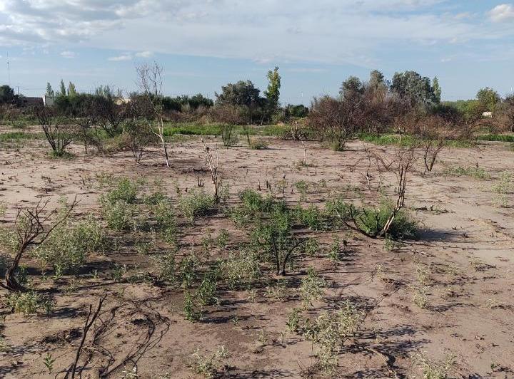 Terreno · 48000m²