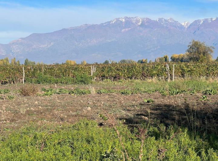 Terreno · 460m²