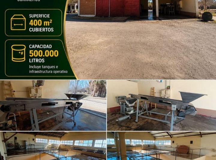 Bodega-Galpón · 400m² · 1 Ambiente