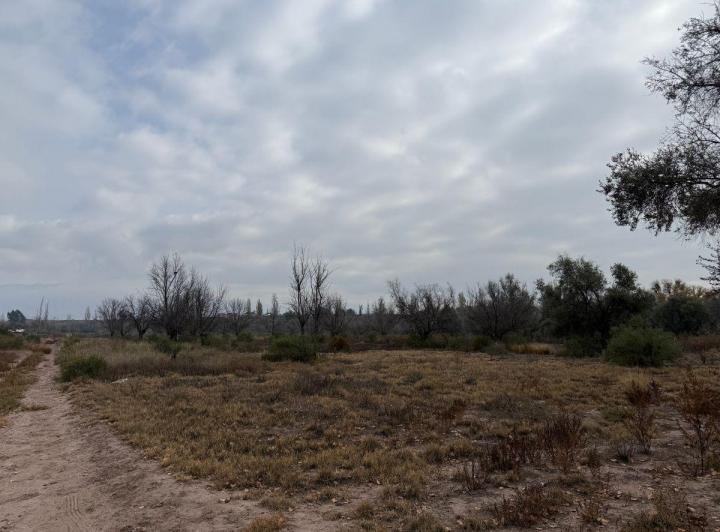 Terreno · 10000m²