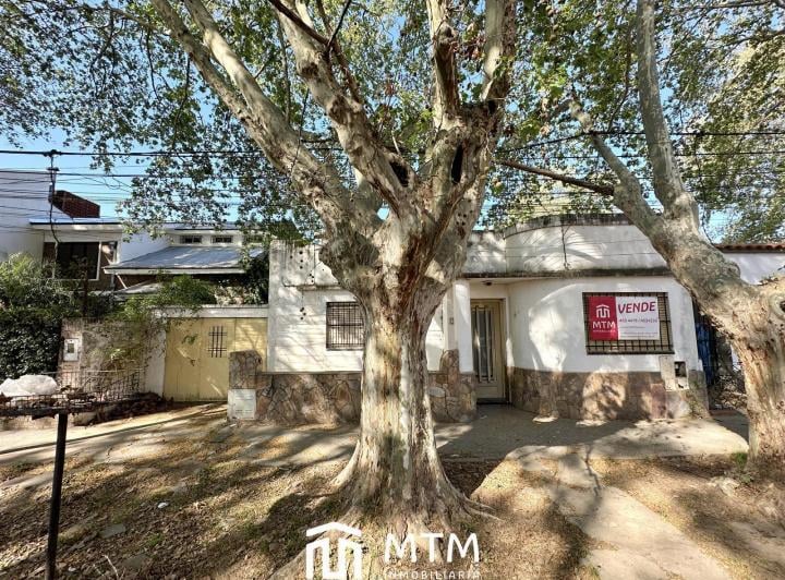 Casa · 339m²