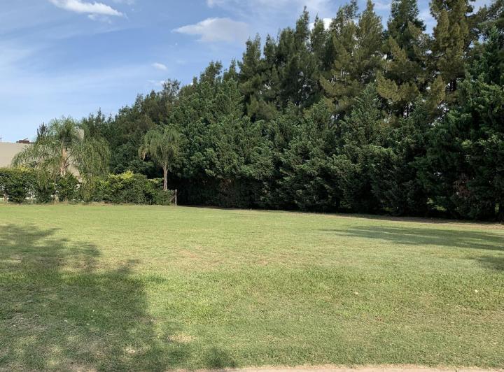 Terreno · 805m²