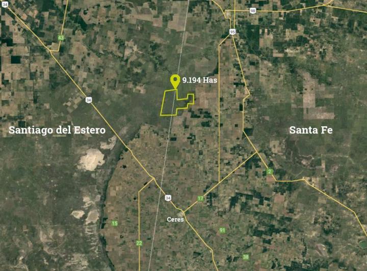 Campo · 91940000ha