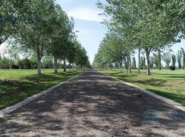 Terreno · 1093m²