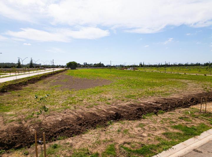 Terreno · 504m²