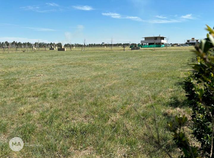 Terreno · 830m²
