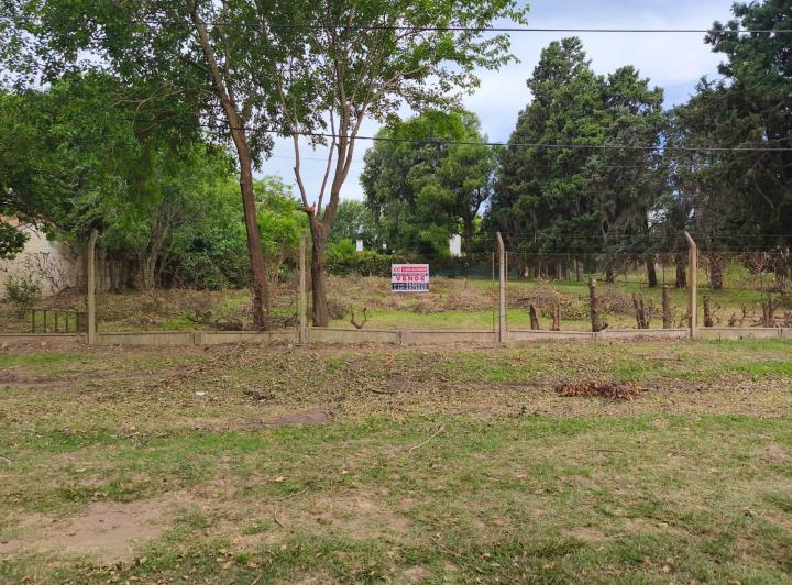 Terreno · 710m²